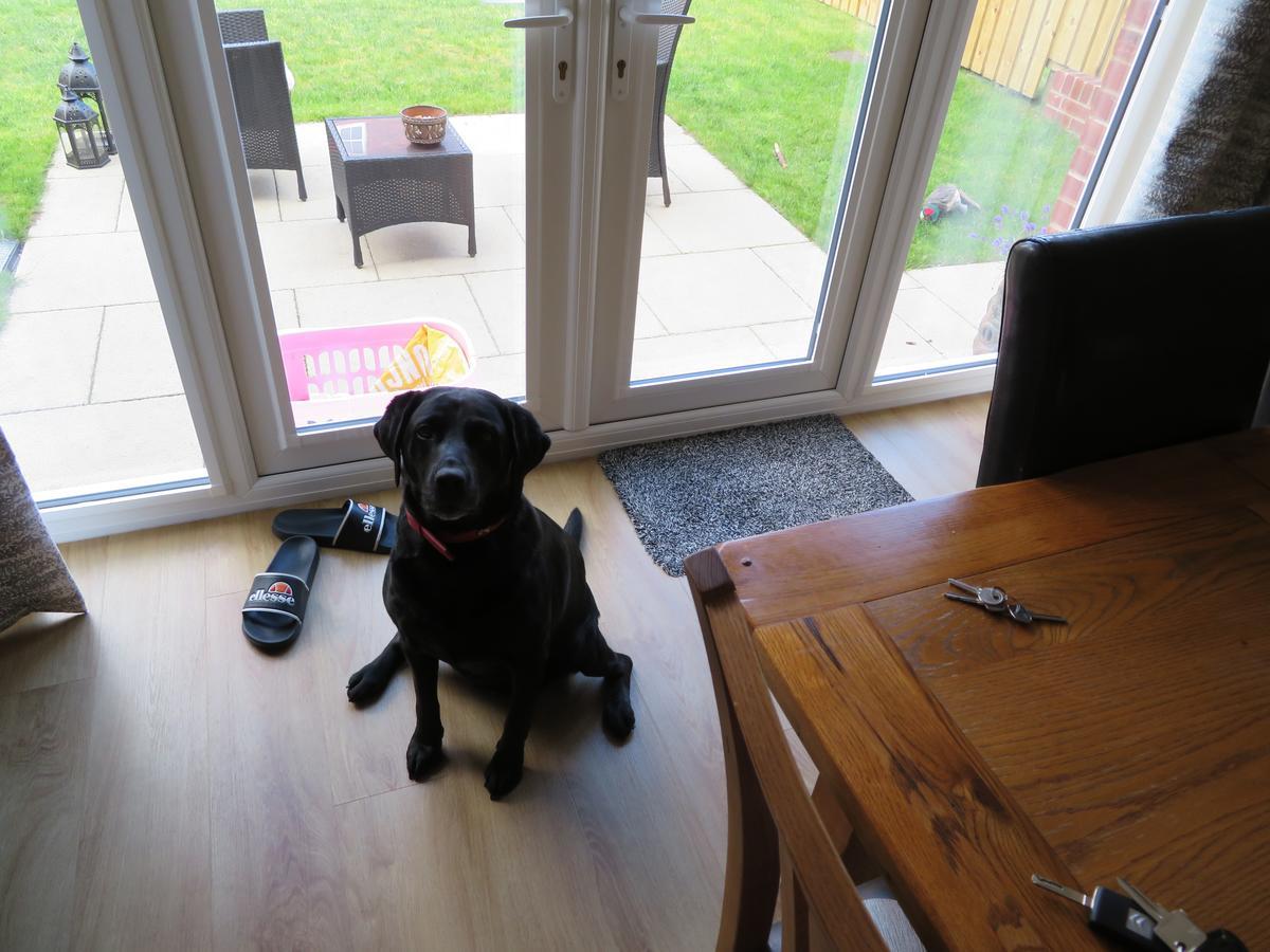 Cornerhouse Guesthouse Carlisle  Dış mekan fotoğraf